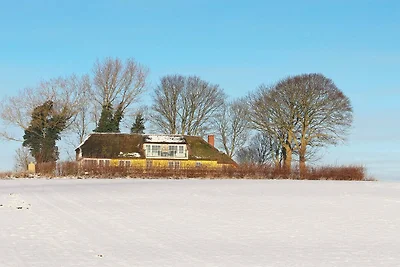 14 Personen Ferienhaus in Havndal-By Traum
