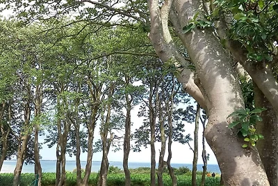 5 persone case ad Sydals