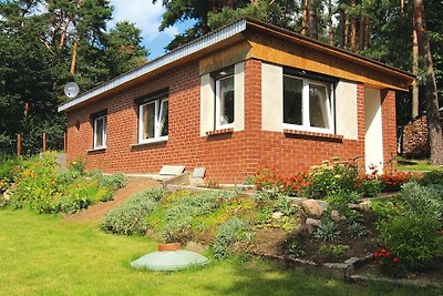 Ferienhaus, Feldberger Seenlandschaft