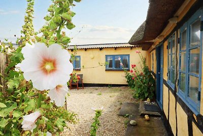 4 Personen Ferienhaus in Bagenkop