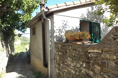 Ferienhaus am Hang mit Terrasse