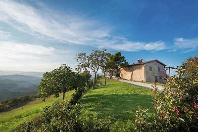 Appartamento in agriturismo con piscina e tan...