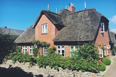 Ferienhaus in Utersum mit Schwimmbecken