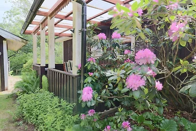 4 Personen Ferienhaus in ÖRKELLJUNGA
