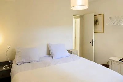 Le Ventoux Esperienza unica in Provenza