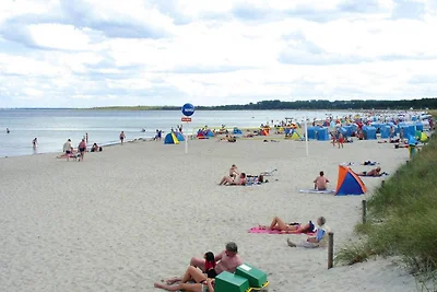 Vakantiehuis de Poeler Drift, Zierow