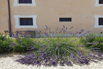 Unterkunft in einer Villa mit Swimmingpool