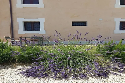 Alloggio in una bella villa con piscina