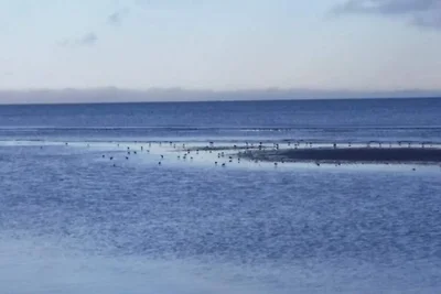 Serenite en bord de mer a Knasborg-By Traum