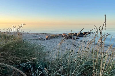 8 Personen Ferienhaus in Otterup-By Traum