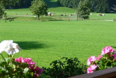 Ferienwohnung mit 1 Schlafzimmer