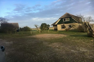 Vakantiehuis in Hollum met barbecue