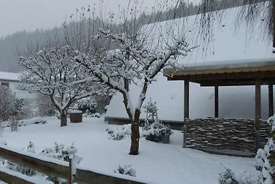 Gemütliches Ferienhaus mit Garten im...