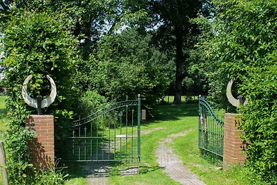 Ferienhaus in Schijf mit Garten