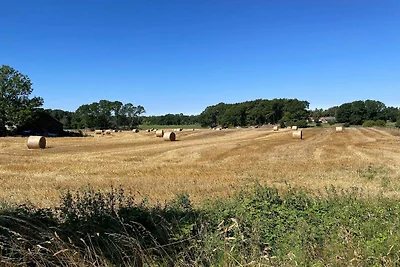 5 Sterne Ferienhaus in YSTAD