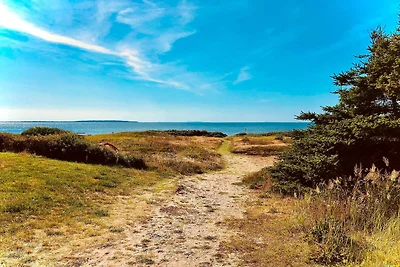 7 persone case ad Løgstør-By Traum