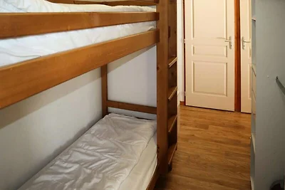 Herbstkrokusse Nr. C208