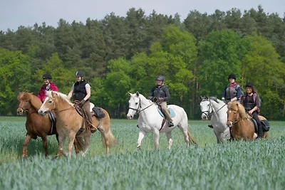 Seringhuis op de Rüsterhof
