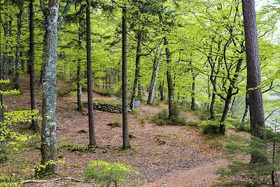 6 persoons vakantie huis in Vittsjö