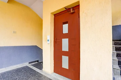 Collezione O Begumpet Alpine