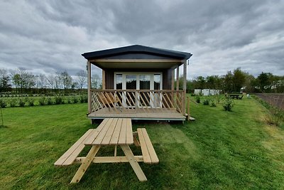 Rustig chalet in Schoonloo met terras