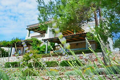 Blissful Bay Apartments Vrboska - One Bedroom...