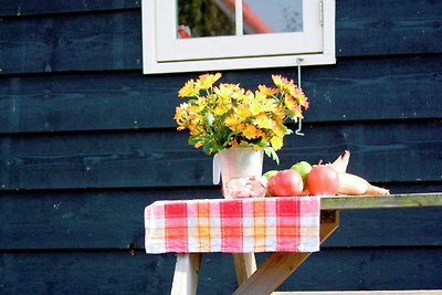 Komfortables Haus mit Terrasse