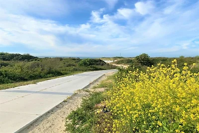 Ferienhaus in Kamperland am Strand