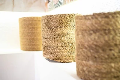 Appartements für 4 Personen