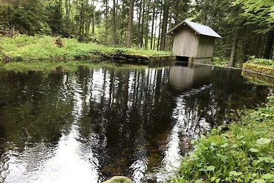 Vakantieappartement in Mauth met zwembad