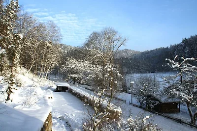 König nahe Bad Schandau