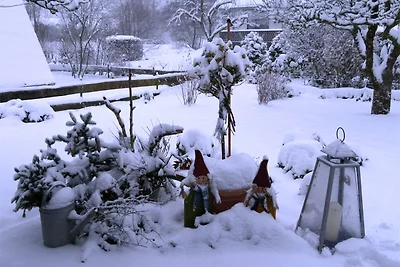 Gemütliches Ferienhaus mit Garten im...