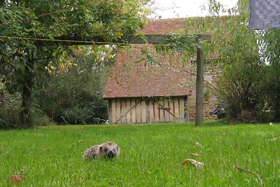 Panificio ristrutturato in Normandia con...