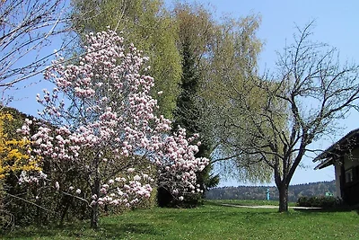 Ferienhaus in Kaernten nahe Wörthersee