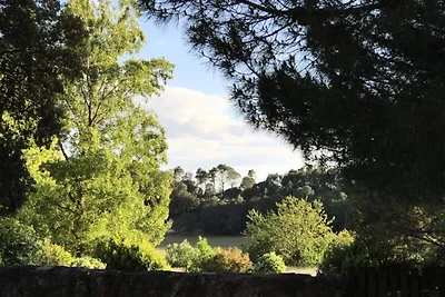 Ferienhaus in Provence mit Pool & Spa