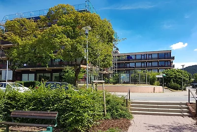 Ferienwohnung am See in Hahnenklee