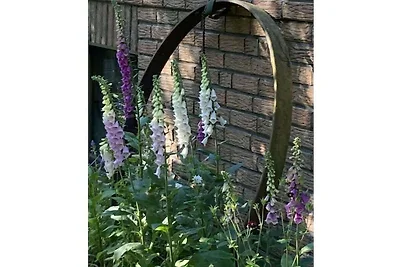 Inmitten der Natur