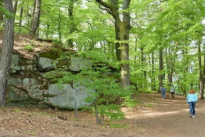 Blütenzauber auf dem Birnbaumhof