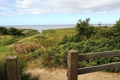 10 persone case ad Skjern-By Traum