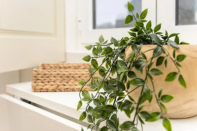 Apartment in Porto in der Nähe des Rio Douro