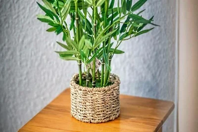 Appartamento a Grenoble vicino Tram E