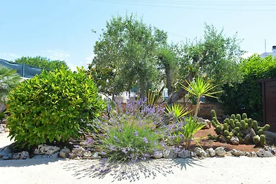Trullo Cittadino Apartment mit Pool in...
