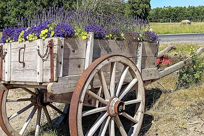 5 Personen Ferienhaus in ELLÖS-By Traum