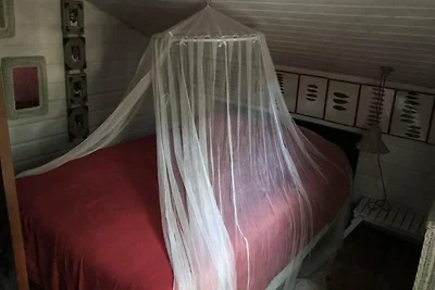 Huis in dennenbos met omheinde tuin