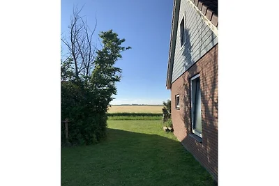 Ferienhaus in texel mit Schwimmbecken
