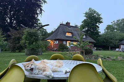 Ferienhaus Seehöft
