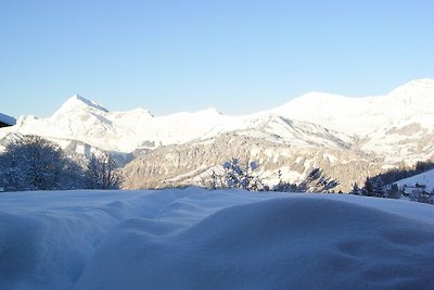 Gemütliches Chalet mit Garten