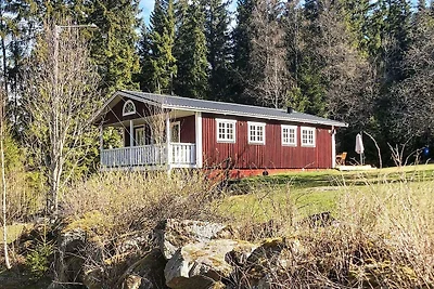 6 persone case ad SÄVSJÖ
