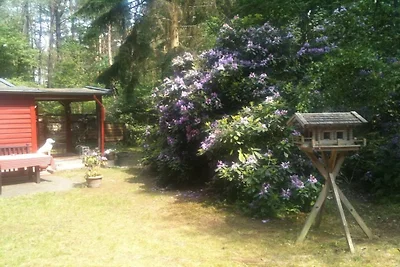 Bungalow in Nordheide with 1 bedroom
