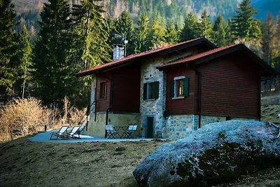 Il Faggio - P.IVA